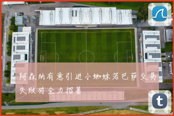 阿森纳有意引进小蜘蛛若巴萨交易失败将全力招募